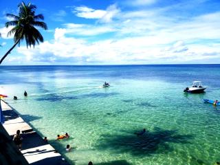 Tropical Fun Ta Sea Rentals - 7