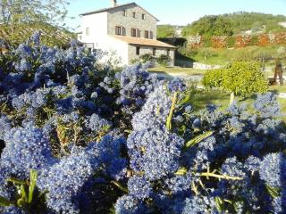 Agriturismo Valiana - Montegabbione - 4