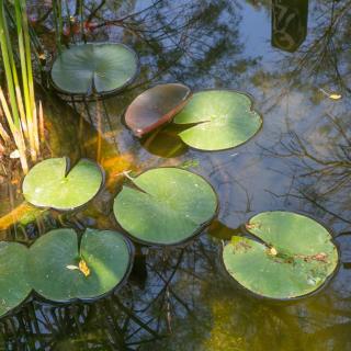 Chambres d'hôtes Les Baumes - 4
