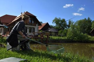 White Dove Pension - Miercurea-Ciuc - 1