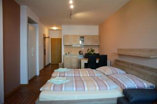Pension Calla - Dolní Vltavice - 8