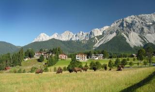 Aparthotel Sunrise - Ramsau am Dachstein - 5