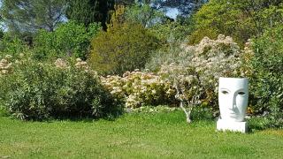 Mas des Mûriers - Saumane-de-Vaucluse - 9
