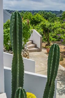 Villa Stefania Dream - Érfoi - 1