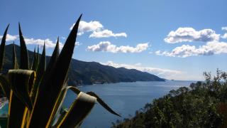 Albergo Suisse Bellevue - Monterosso al Mare - 9