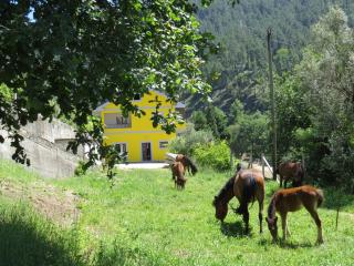 Quinta Machado Da Pedra Bela - Gerês - 8