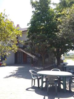 Country House L'Ippocastano - Altavilla Silentina - 4
