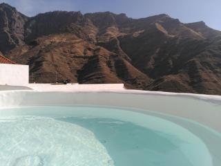 Vilna House with private pool, jacuzzi and garden -Optional pool and jacuzzi heating - 8