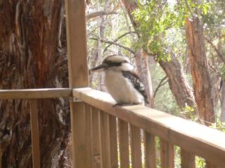 The Ledge Holiday House - Halls Gap - 0