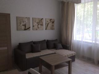 Taikos Apartmentai 2 - Druskininkai - 8