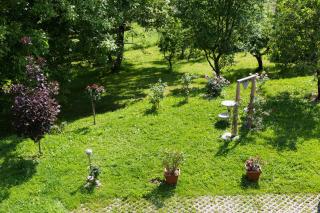 Dorfwirt - Sankt Marein bei Graz - 8