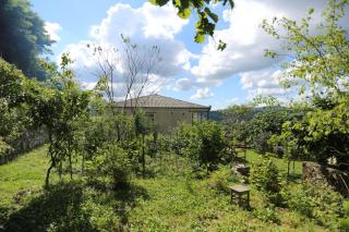 Green House Guest house - 2