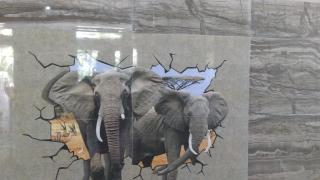 Aguiar Guest House - 9