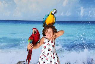 Aquapark Health Resort & Medical SPA Panorama Morska All Inclusive - 2