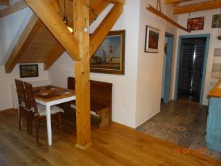 Apartmány U Šakala - Zdíkov - 1