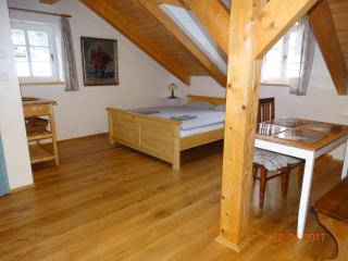 Apartmány U Šakala - Zdíkov - 6