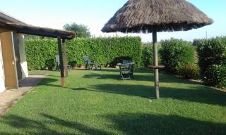 Monolocale con giardino - 6