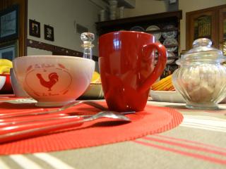 Le Grillage a Poules - 2