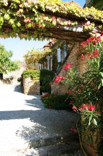 La vignolle - Saint-Amand-de-Coly - 0