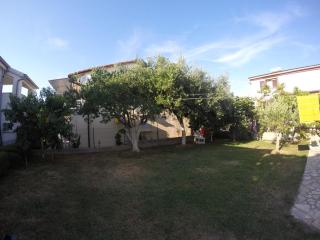 Apartman Veronika - Vrsi - 2