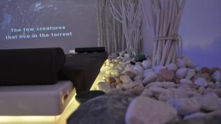 Suite White Elegance - Gallipoli - 8