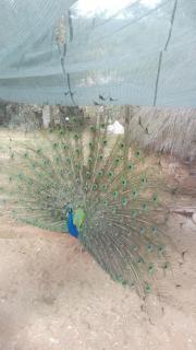 Quinta Do Vaqueirinho - Agro-Turismo - Marvão - 7