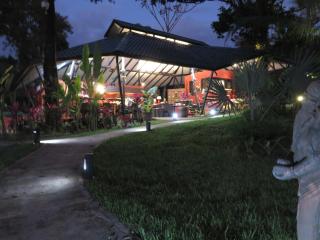 Oasis de las Palmas - Ojochal - 1