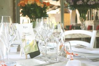 Domaine Regis Freres - Vidauban - 8