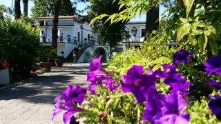 Villa Minieri Resort & SPA - Nola - 6