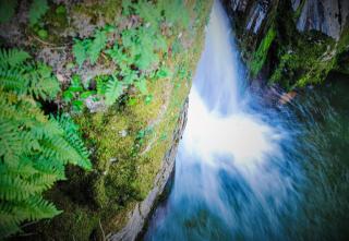 Alojamentos Turísticos São Torcato Moradal Turismo Espaço Rural - 6