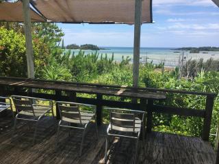 Minami Onna Tropical - Onna - 9