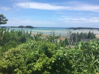 Minami Onna Tropical - Onna - 6