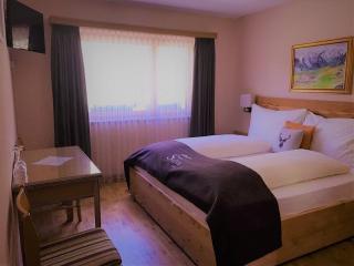 Hotel Pizzeria Selva - Zernez - 7