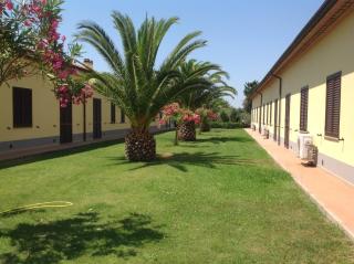 Agriturismo il Tripesce - Vada - 1