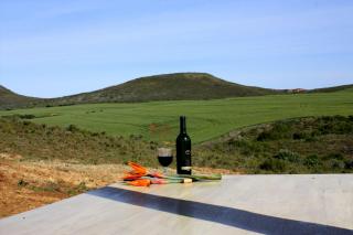 Melkboom Guest Farm - Heidelberg - 6