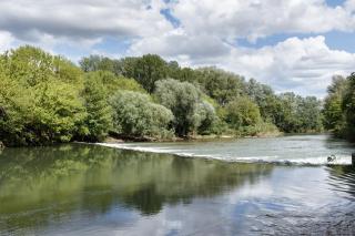 Le Moulin de Pézenas - Pierres d'Histoire - Pézenas - 8