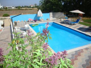 Bella Rosa hotel Cyprus - Coral Bay - 9