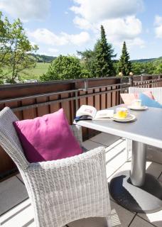 Landhaus Wiesemann Parkappartements & Dependance - Nähe Ettelsberg-Talstation - Willingen - 1