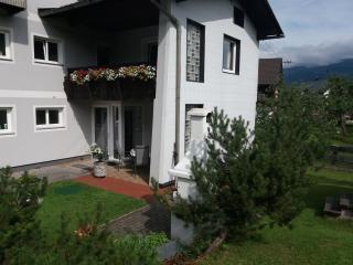 Haus Straubinger-Tiefenbacher - Bad Goisern - 3