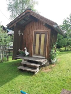 Haus Straubinger-Tiefenbacher - Bad Goisern - 5