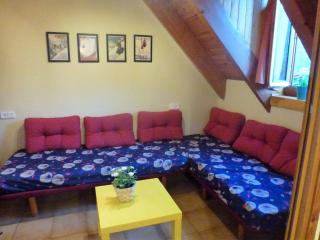 Apartament Vall de Boi Taull - Pla de l'Ermita - 0