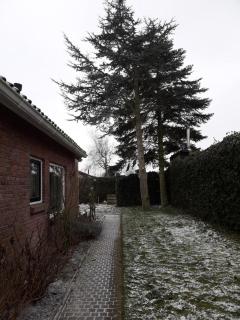 Zomerhuis De Zeedistel - Egmond aan den Hoef - 5