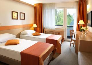 Garni Hotel Savica - Sava Hotels & Resorts - Bled - 8