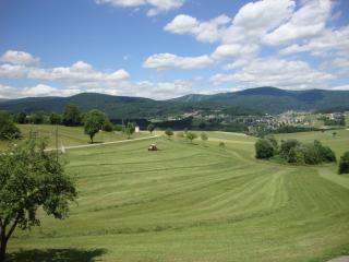 HOCHFICHTBLICK Apartments - Ulrichsberg - 7
