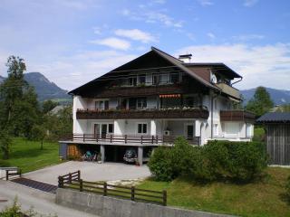 Haus Straubinger-Tiefenbacher - Bad Goisern - 9