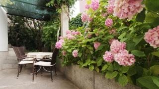 Central Garden - 9
