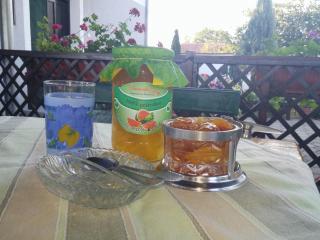 Guest House Dunavski Raj - Kostol - 3