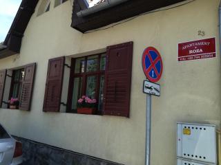 Apartament Roza - Braşov - 1