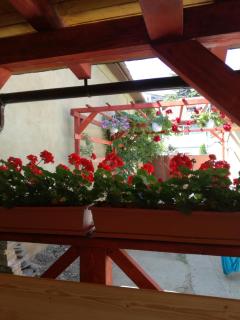 Apartament Roza - Braşov - 2