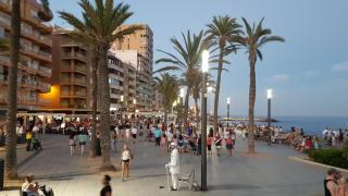 Apartamento Torrevieja - Torrevieja - 0